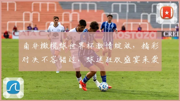 南非橄榄球世界杯激情绽放，精彩对决不容错过，球迷狂欢盛宴来袭