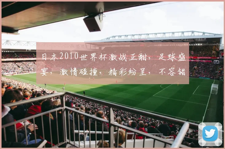 日本2010世界杯激战正酣，足球盛宴，激情碰撞，精彩纷呈，不容错过