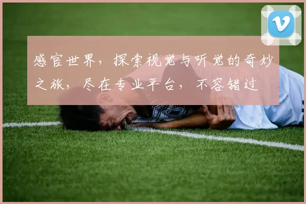 感官世界，探索视觉与听觉的奇妙之旅，尽在专业平台，不容错过